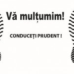 Pachet 100 covorașe auto hartie 440x330mm